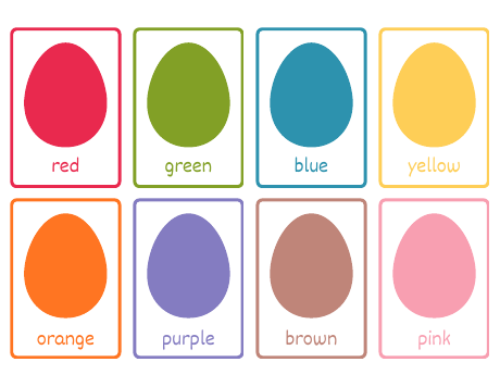 Flashcards sample from Flashcards